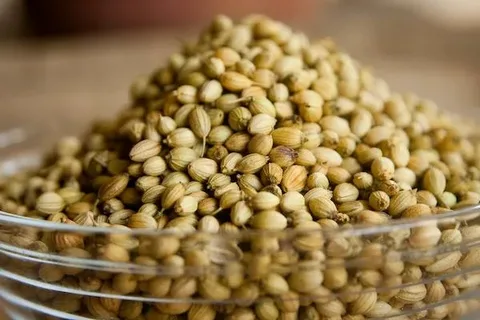 تصویر 4 از خرید و قیمت تخم گشنیز خشک + فروش عمده
